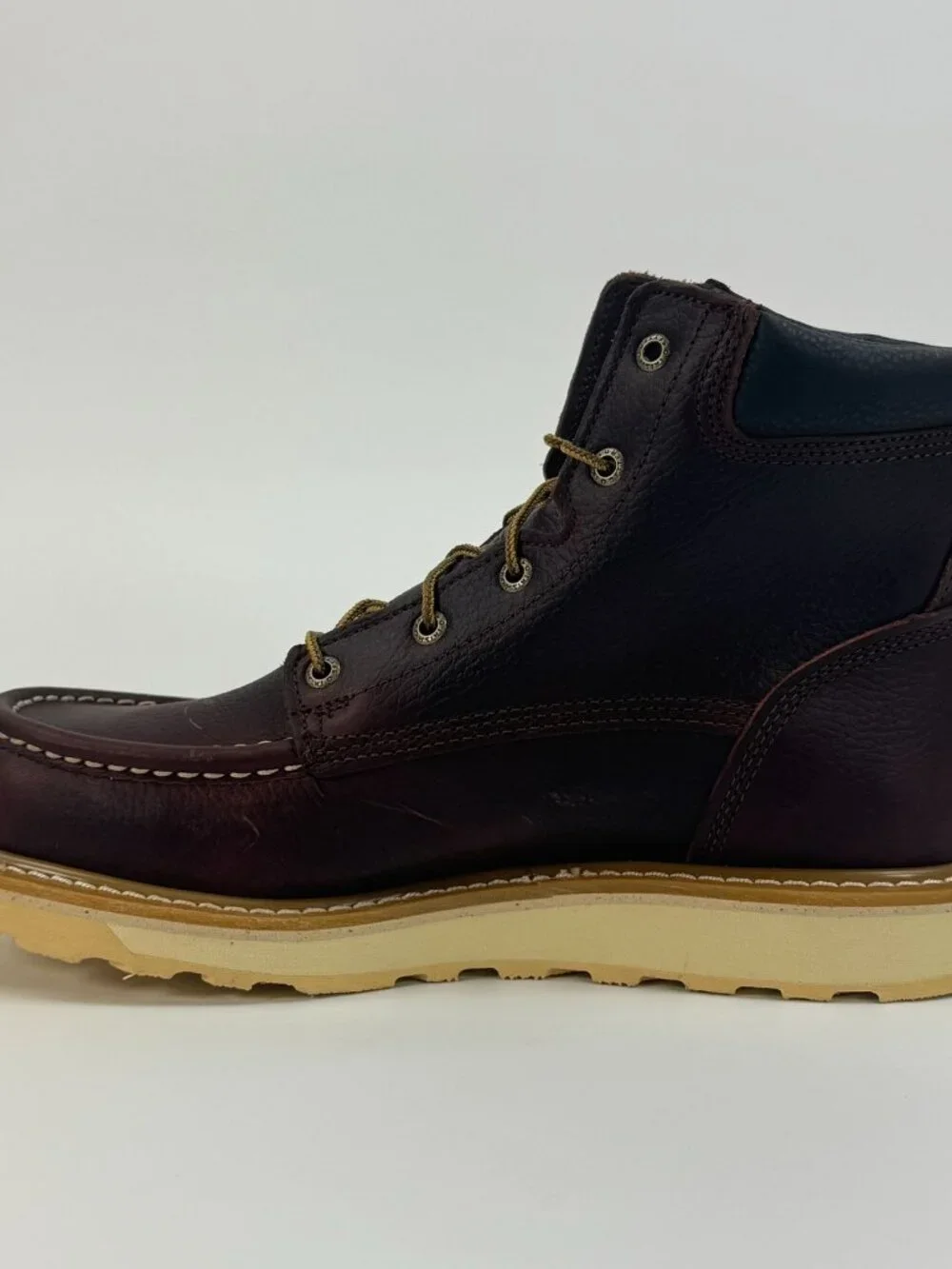 Irish Setter Ashby 6